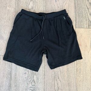 🌱 Ryker Apollo 100% Merino Wool Men’s Athletic Shorts in Size Medium, 7” Inseam